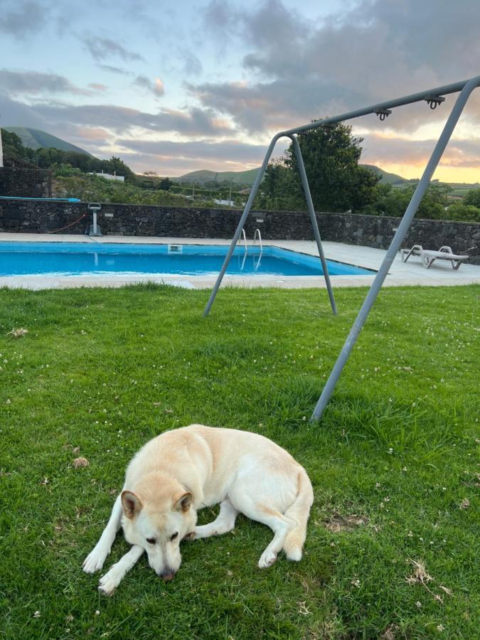 Arrenquinha Guesthouse 1 São Vicente Ferreira Dış mekan fotoğraf